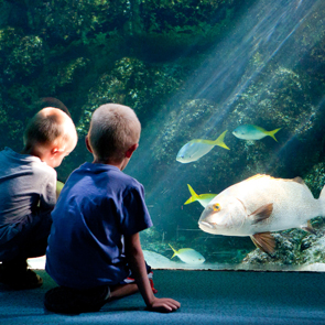 Aquarium de La Rochelle
